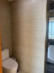 Park Infinia At Wee Nam (D11), Condominium #540727601